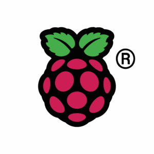 Inicio colour raspberry pi symbol registered 300x300