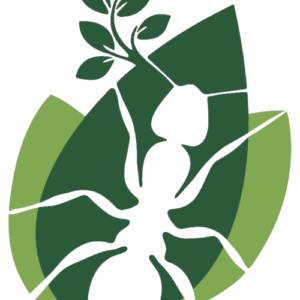 Inicio ecoencounter removebg preview